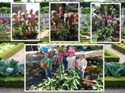 Огород в нашем детском саду